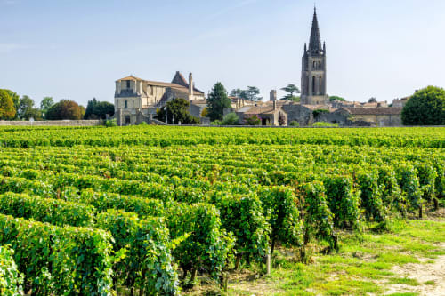 Paysage de vignoble au Prieuré de Saint-Pierre à Saint-Pey-de-Castets, France avec son historique clocher