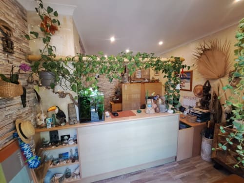 Welcoming reception desk at Résidence Vélès Plage in Cannes, decorated with lush hanging plants and tropical touches