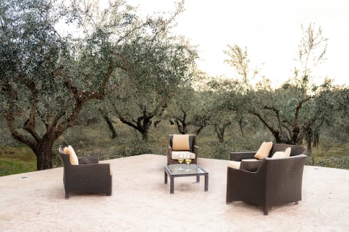 Area lounge esterna con sedie in vimini presso Stone House Gebel el Son a Novi Velia, con vista su giardino di ulivi