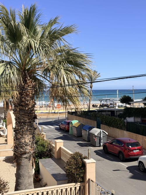 Palm tree view from El Chalecito de Alicante hotel overlooking beach and Mediterranean Sea