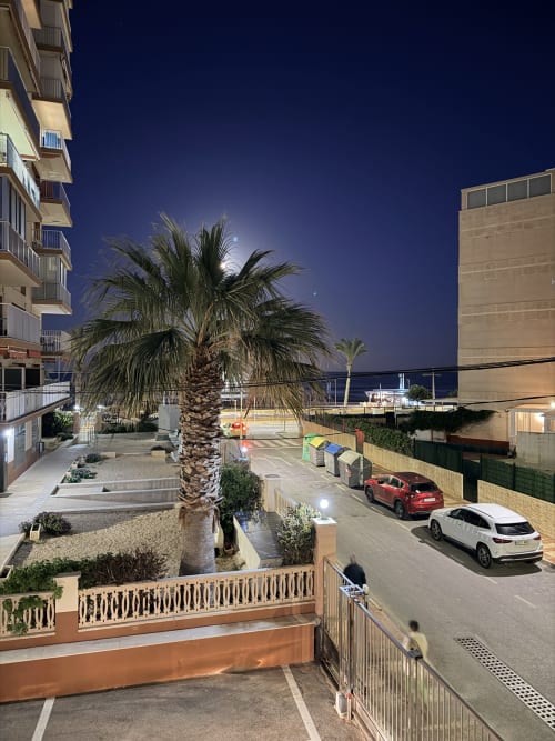 El Chalecito de Alicante hotel courtyard at dusk with palm tree, parked cars, and waterfront view
