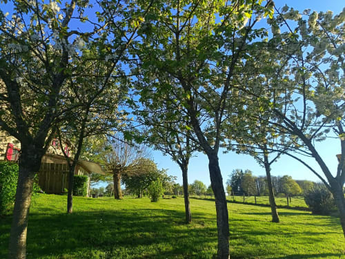 Vaste jardin du Domaine de Beau Site à Peyrat-de-Bellac, avec arbres matures et pelouse verdoyante, vue typique