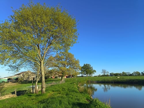 Jardin paisible d'une maison de campagne avec arbre, champs verdoyants et canal tranquille au Domaine de Beau Site