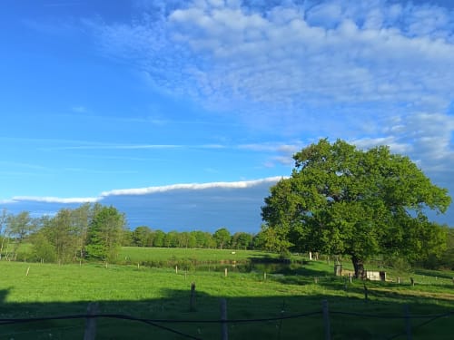 Verdoyant pâturage et jardin du gîte Domaine de Beau Site à Peyrat-de-Bellac, avec chêne centenaire et ciel bleu