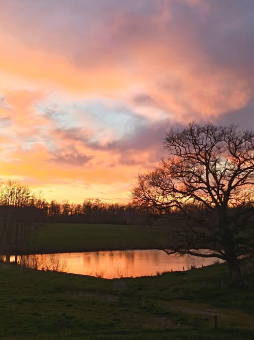 Coucher de soleil sur l'étang et les jardins du Domaine de Beau Site à Peyrat-de-Bellac, avec des arbres dénudés reflétés dans l'eau