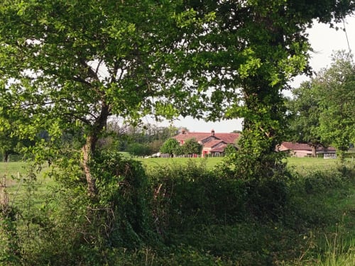 Cottage du Domaine de Beau Site entouré de verdure avec vue sur la campagne de Peyrat-de-Bellac