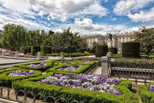 Formal gardens with purple flowers and green hedges overlooking elegant palace architecture in Madrid's Plaza Mayor area