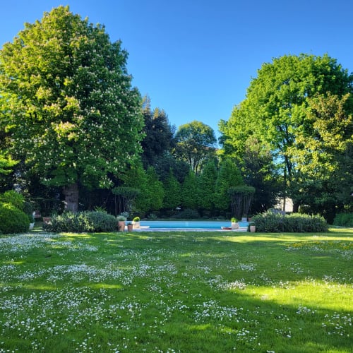 Jardin du Logis des Tourelles avec piscine bleue, pelouse fleurie et arbres matures à Cognac