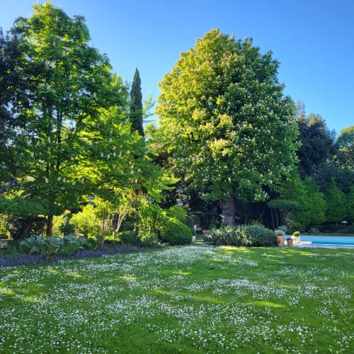 Jardin ensoleillé du Logis des Tourelles avec prairie fleurie, arbres luxuriants et piscine