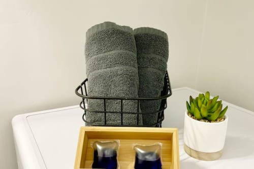 Équipements de salle de bain aux Logis d'Emma : serviettes grises roulées, plante succulente et plateau de toilettage