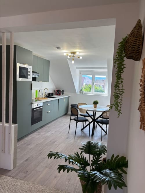 Cuisine-séjour moderne aux armoires vert sage, vues sur les montagnes et plantes en pot à l'appartement Le Col'Vert