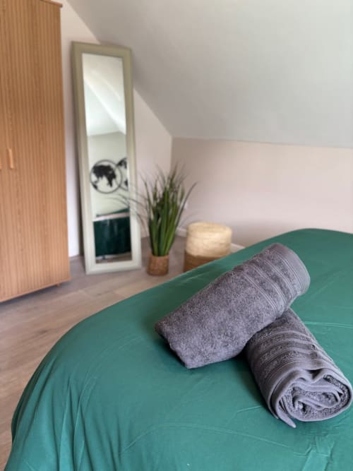 Lit vert avec serviettes pliées, miroir, plante et pouf dans l'appartement Le Col'Vert aux Logis d'Emma