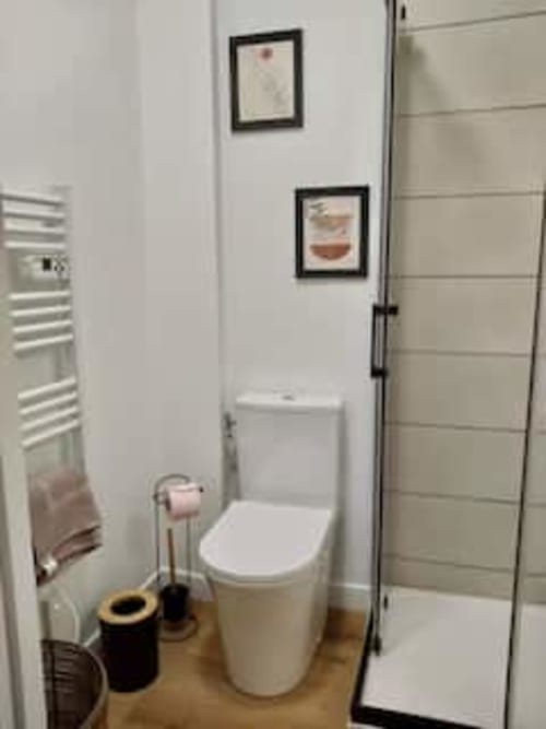 Salle de bain moderne de l'appartement Terravita aux Logis d'Emma avec toilettes, douche, sèche-serviettes chauffant et art mural encadré