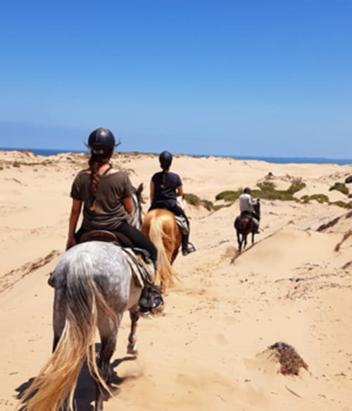 Cavaliers à cheval sur la plage de sable avec vue sur l'océan à Yousurf Surfhouse, Essaouira