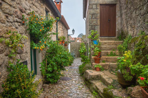 Charming cobblestone alley at Moinho do Maneio with blooming flowers and traditional stone buildings in Penamacor, Portugal