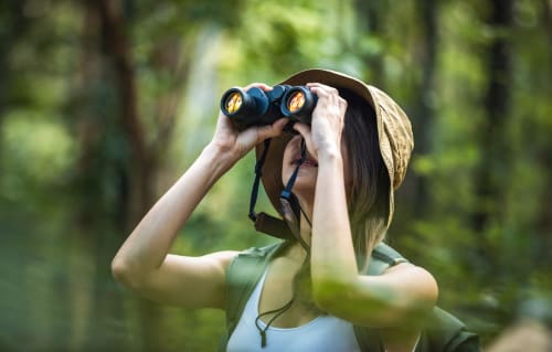 Woman birdwatching with binoculars in forest near Moinho do Maneio, Penamacor Portugal