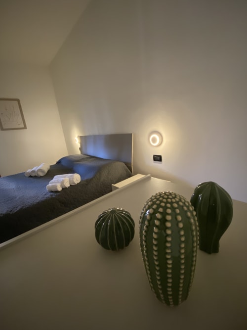 Camera moderna presso MiSaNi Apartments con letto, cactus decorativi e illuminazione calda