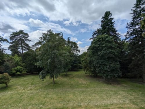 Pelouse verdoyante et arbres matures au Domaine du Faure, un gîte de charme en campagne française avec vue paisible sur le jardin