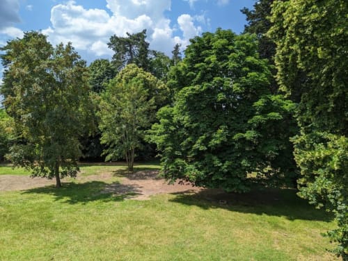 Jardin verdoyant avec arbres majestueux et pelouse au Domaine du Faure, gîte français près de Chadurie