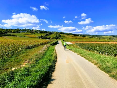 Cycliste sur un sentier rural à travers les vignobles près du Domaine Pont Juillet à Fontaines, France