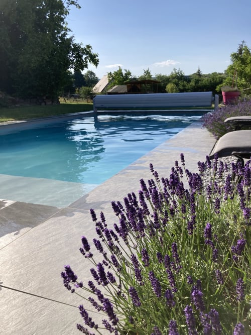 Le Clos d'Azel pool with lavender flowers, loungers, and rolling countryside in Alsace