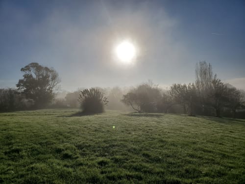 Vue matinale du jardin du gîte Le Clos Des Sources à Isigny-sur-Mer, pelouse givrée et arbres nus dans la brume