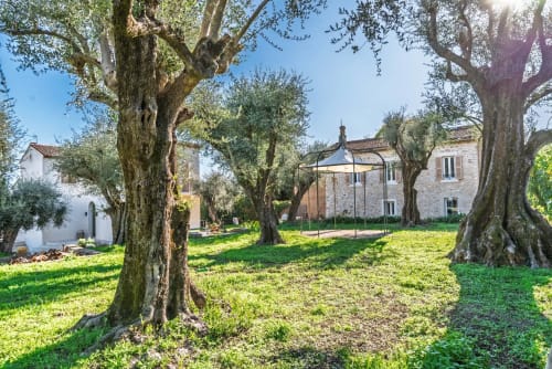Tuscan villa grounds with ancient olive trees, manicured lawn, and stone house near Cannes Mougins