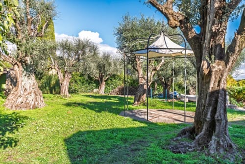 Olive grove garden with pergola canopy at M Résidences villa in Cannes Mougins, Mediterranean landscape with ancient trees