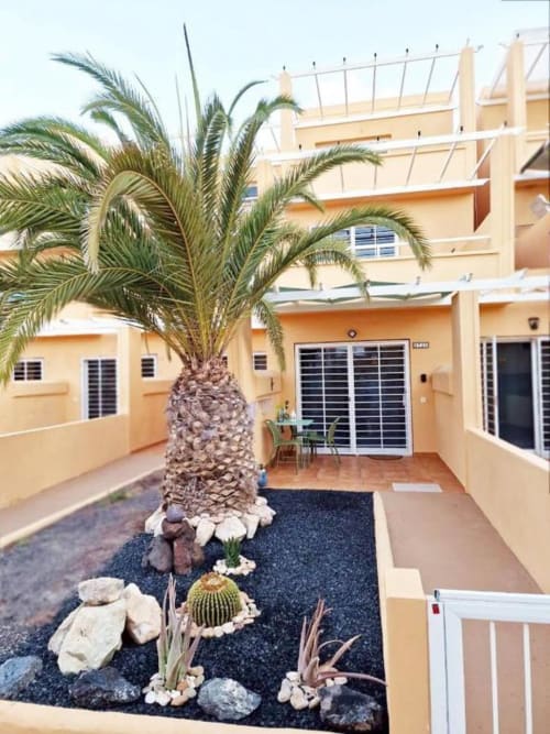 Patio frente al mar con palmera, jardín de cactus y terraza en Smart Rent Fuerteventura, España