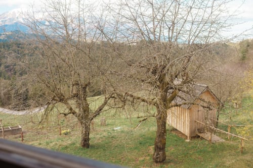 Bare fruit trees in spring garden at Kmetija Pečnik farmhouse with Alpine mountain views and wooden shed in Prevalje,