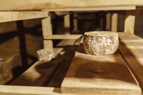 Aged cheese wheels aging on wooden shelves in a rustic cellar at Kmetija Pečnik farm stay in Prevalje, Slovenia