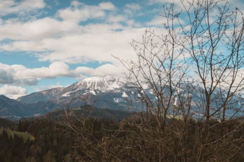 Snow-capped mountain vista with evergreen forests and bare trees from Kmetija Pečnik balcony in Prevalje
