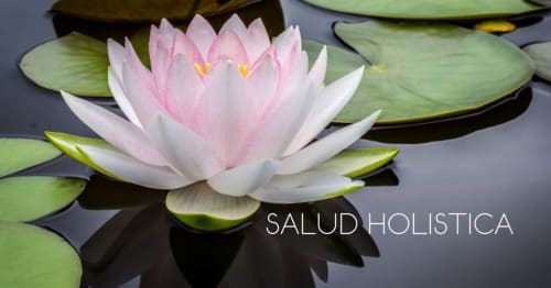 Lirio acuático rosa con hojas verdes flotando plácidamente, representando el enfoque integral de bienestar de Casa Gallinera en Benissivà