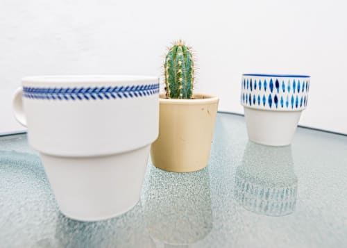 Pequeño cactus verde en maceta beige con jardineras de cerámica decorada en azul y blanco sobre mesa en apartamento Casa Andre
