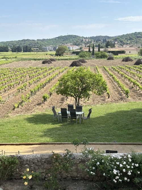 Table de repas sur la pelouse surplombant les rangées de vignes à la Maison d'hôtes Le Mas des Vignes, Rochegude, France