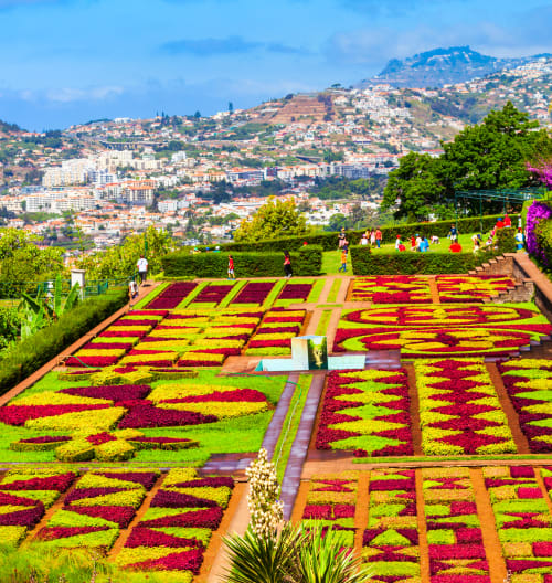Vibrantes jardins de flores vermelhas e amarelas com vista para a paisagem urbana de Funchal, Madeira, Portugal