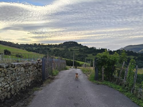 Rural farm lane with stone walls and fencing near Posada La Colodra in Spain, overlooking rolling green hills