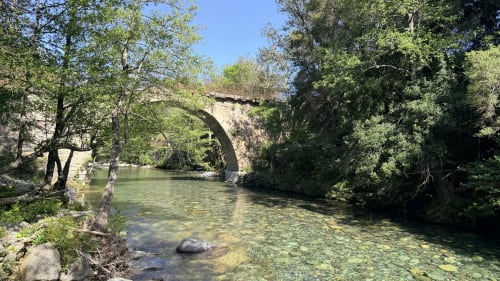 Ancien pont de pierre enjambant une rivière cristalline entourée d'arbres luxuriants aux Villas Vallée d'Asco à Moltifao, France