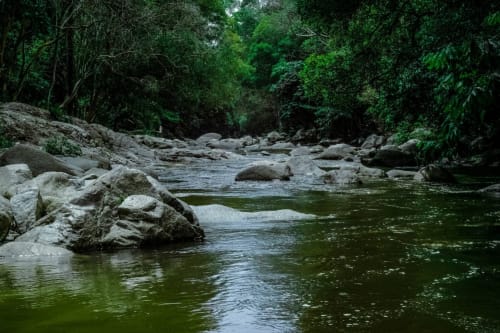 Serene river stream with boulders surrounded by lush green forest at Posada La Colodra, Los Tojos