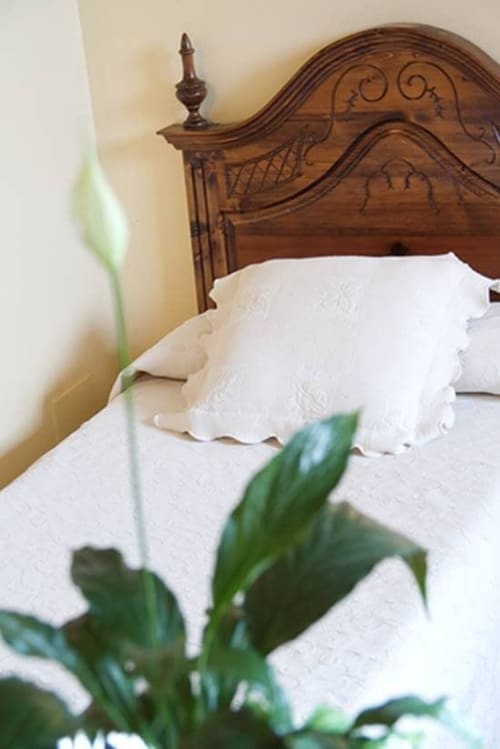 Ornate wooden headboard with white bedding at Posada La Colodra, with green plant in foreground