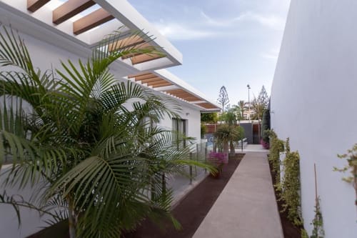 Couloir de la suite moderne à l'Aevum Resort, Playa del Inglés, avec pergola blanche, palmiers luxuriants et plantes à fleurs roses