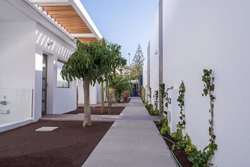 Bâtiments modernes blancs avec pergola en bois et aménagement paysager à Aevum Resort, Playa del Inglés