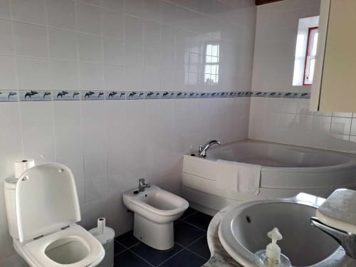 Bathroom at Inn Nature villa in São Roque do Pico with toilet, bidet, corner bathtub, and tiled walls with dolphin border