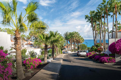 Calle tropical en Smart Rent Fuerteventura con palmeras, buganvilia magenta vibrante y vistas al océano