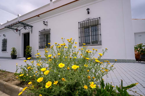 Patio del Boutique Hotel Alcazaba Salobreña con paredes blancas, ventanas de hierro forjado y flores amarillas brillantes