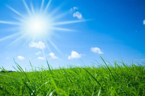 Prairie ensoleillée aux ciel bleu éclatant et nuages blancs aux Épinettes, un charmant gîte à Crèvecœur-le-Grand