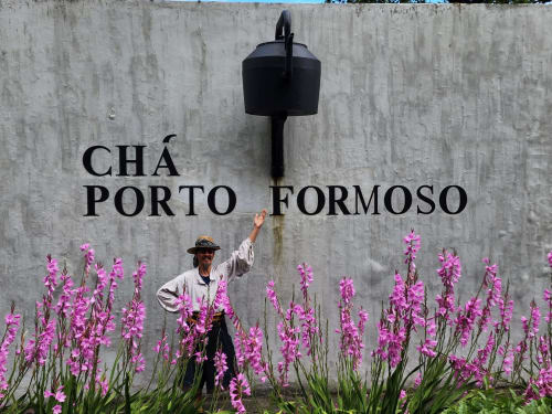 Man pointing at Chá Porto Formoso sign with pink flowers, Ribeirinha Portugal