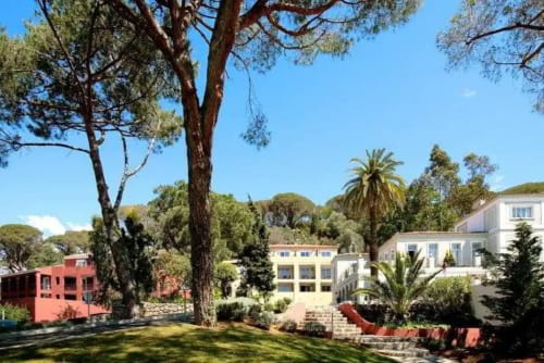 Residenza Château des Artistes a Le Cannet con giardini mediterranei, palme e architettura villare colorata