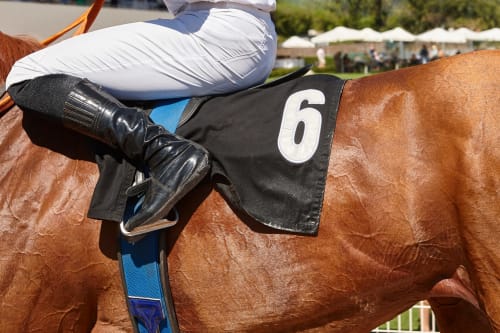 Jockey mounted on chestnut horse wearing saddle number 6 at Lion sur Mer equestrian event
