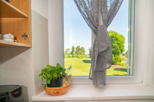 Davanzale della cucina con basilico in vaso e tenda grigia affacciata sul giardino verde dell'appartamento Match Home a Somma